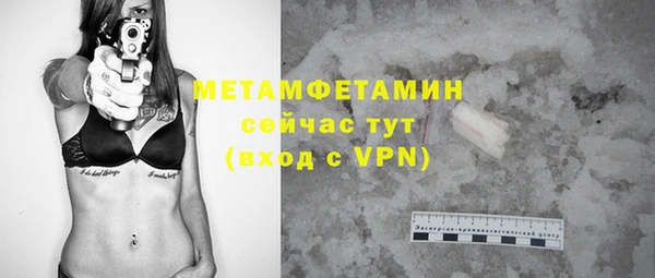 гидра Вяземский