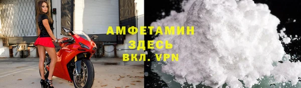 гидра Вяземский