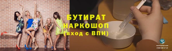 гидра Вяземский