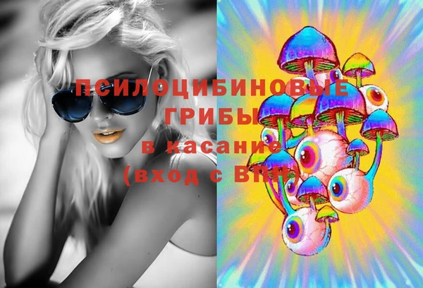 гидра Вяземский