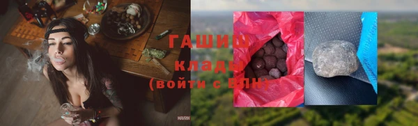 гидра Вяземский