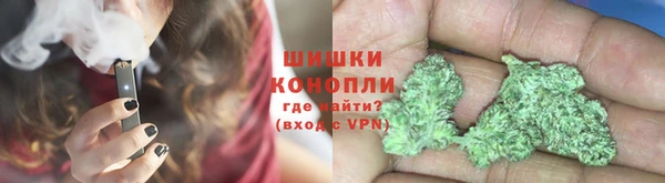 гидра Вяземский