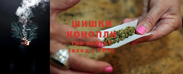 гидра Вяземский