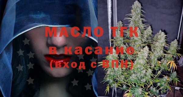 гидра Вяземский