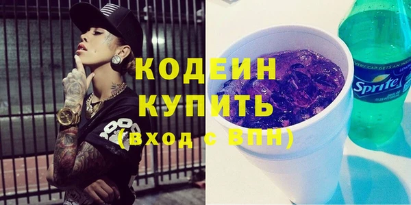 гидра Вяземский