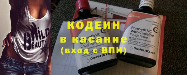 гидра Вяземский