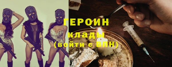гидра Вяземский