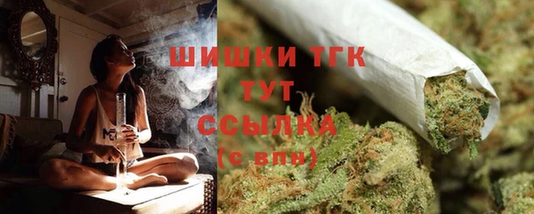 гидра Вяземский