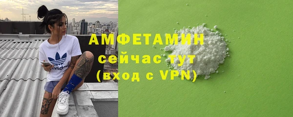 гидра Вяземский