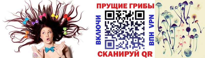 продажа наркотиков  Челябинск  Псилоцибиновые грибы прущие грибы 